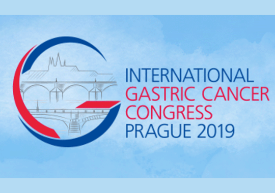IGCC 2019 第13回国際胃癌学会議 開催都市 イメージ