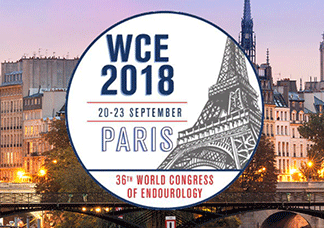 WCE 2018 第36回世界エンドウロロジー学会議 開催都市 イメージ