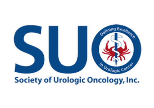 SUO 2020 第21回泌尿器科腫瘍学会議 開催都市 イメージ