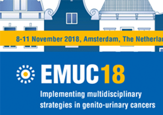  EMUC 2018 開催都市 イメージ