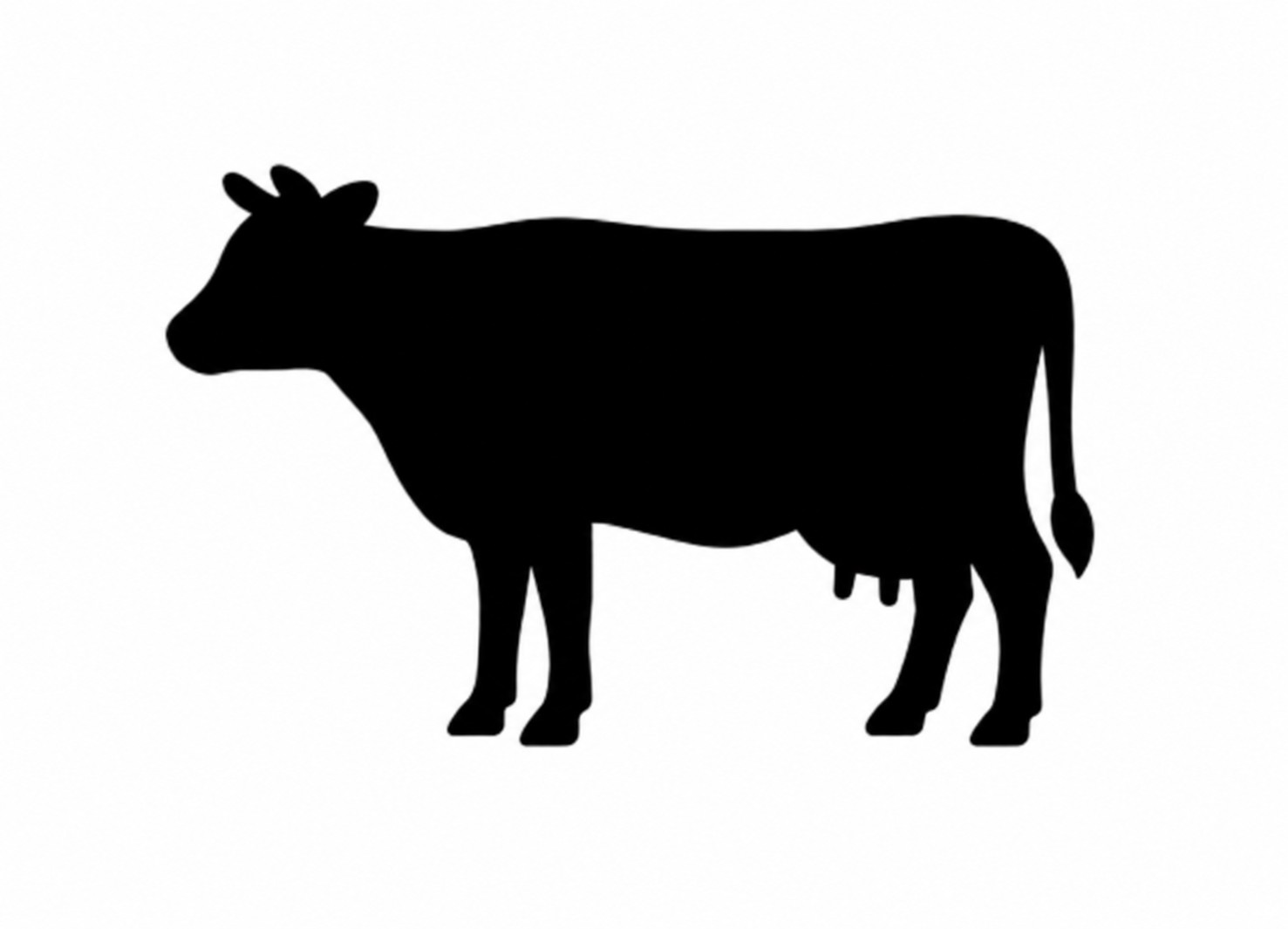 AGRISHOW AGRISHOW 開催都市 イメージ