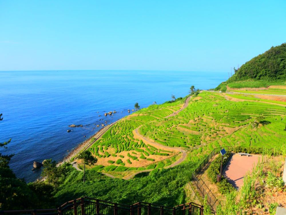 現地発着 能登半島をまわる 大本山総持寺祖院 観光列車 のと里山里海号 にも乗れる 能登満喫1泊2日の旅 ジェイワールドトラベル 業務渡航 医学会議 スポーツ観戦など 専門分野に特化した旅行手配