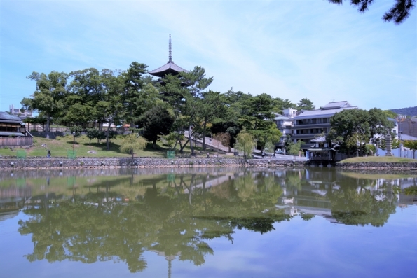 プライベートツアー もう一度修学旅行 奈良 お気軽コース 興福寺 春日大社 東大寺編 ジェイワールドトラベル 業務渡航 医学会議 スポーツ観戦など 専門分野に特化した旅行手配